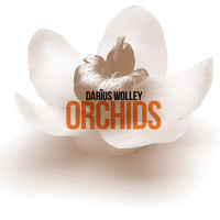 cover art from EP Orchids