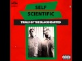 Self Scientific - The Picture Show (Ft. The New Royales)